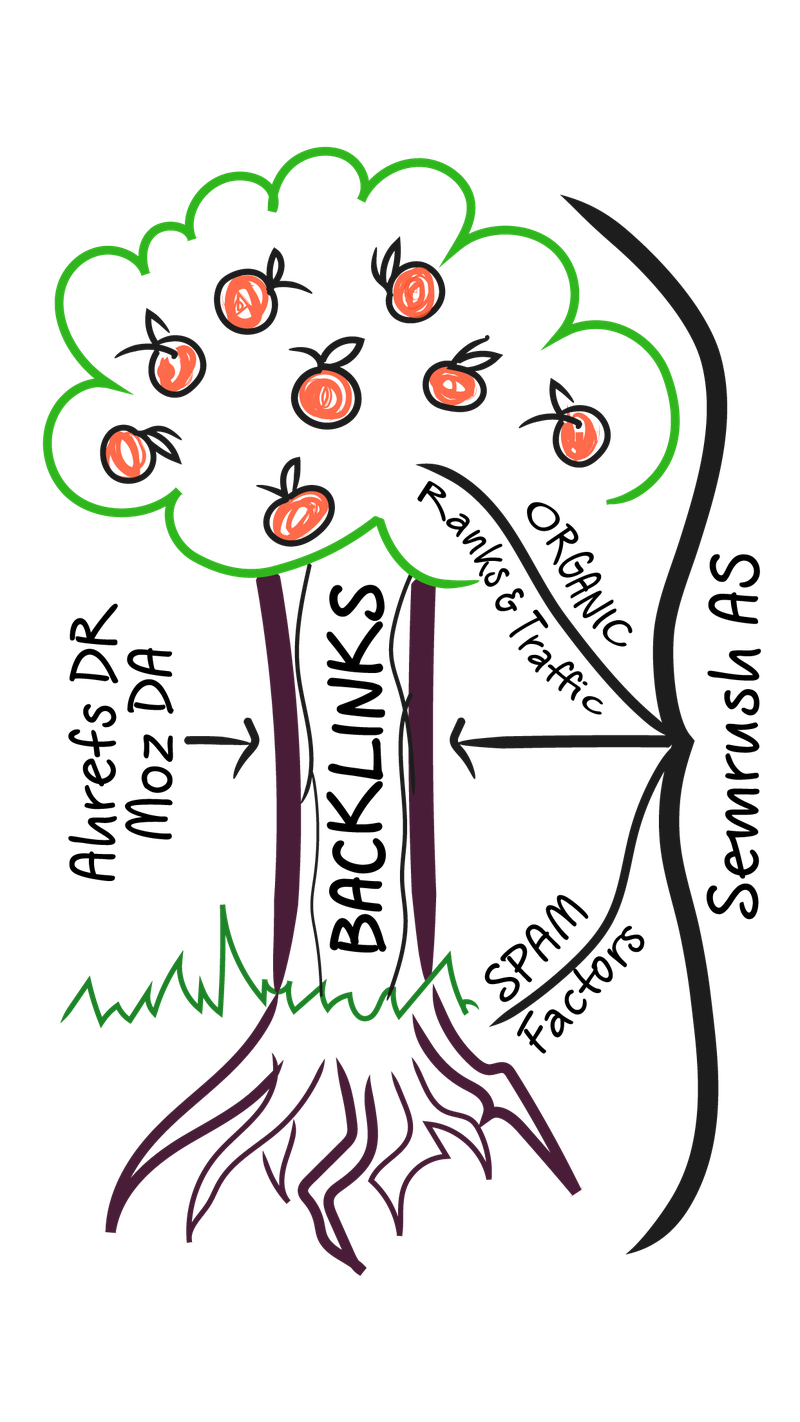 Backlinks and Authoirty Score illustration